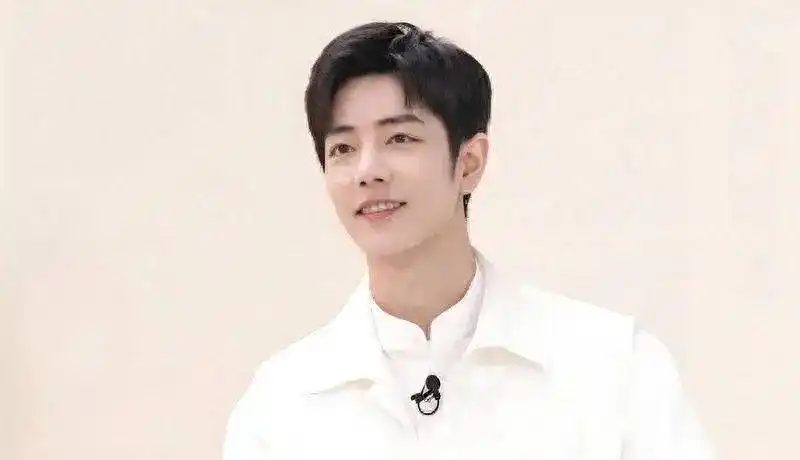 娱乐圈明星地位排名_2024明星等级榜肖战 全球顶流 内地入围艺人