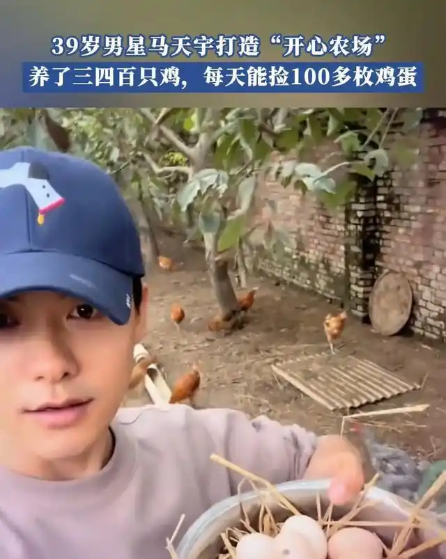 娱乐圈的现况_演员转型趋势_娱乐圈寒冬