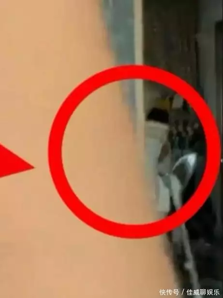 娱乐圈谁生二胎_李小璐疑似二胎真相_李小璐贾乃亮复合内幕