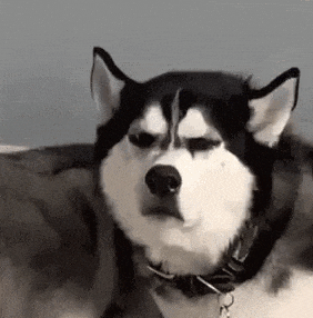 快手抖音网红黑料是谁发的视频,_直播低俗内容_网红不当行为